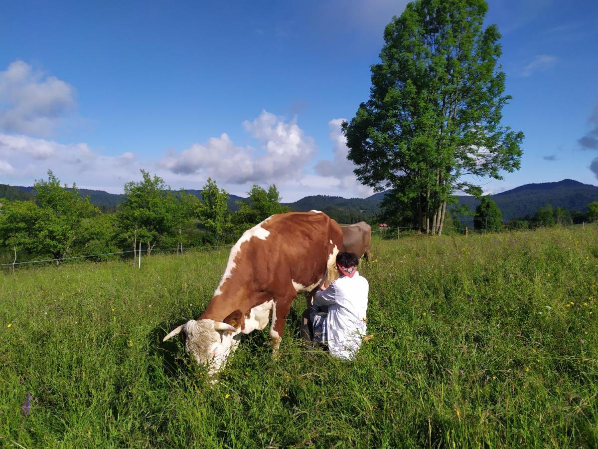 Villa Tourist Farm Strle With Great Local Food Cerknica Esterno foto