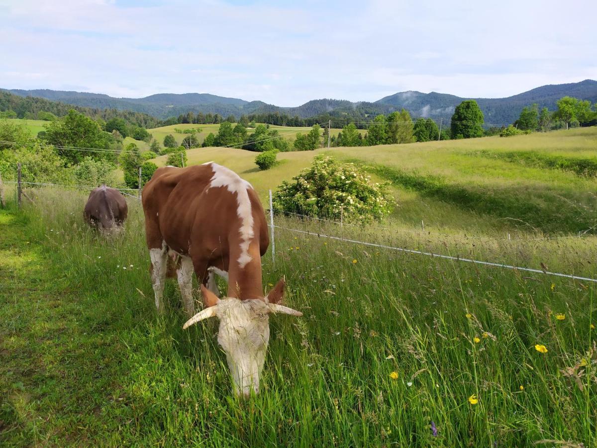 Villa Tourist Farm Strle With Great Local Food Cerknica Esterno foto
