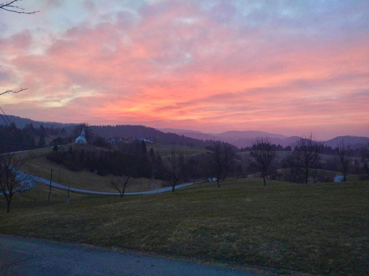 Villa Tourist Farm Strle With Great Local Food Cerknica Esterno foto