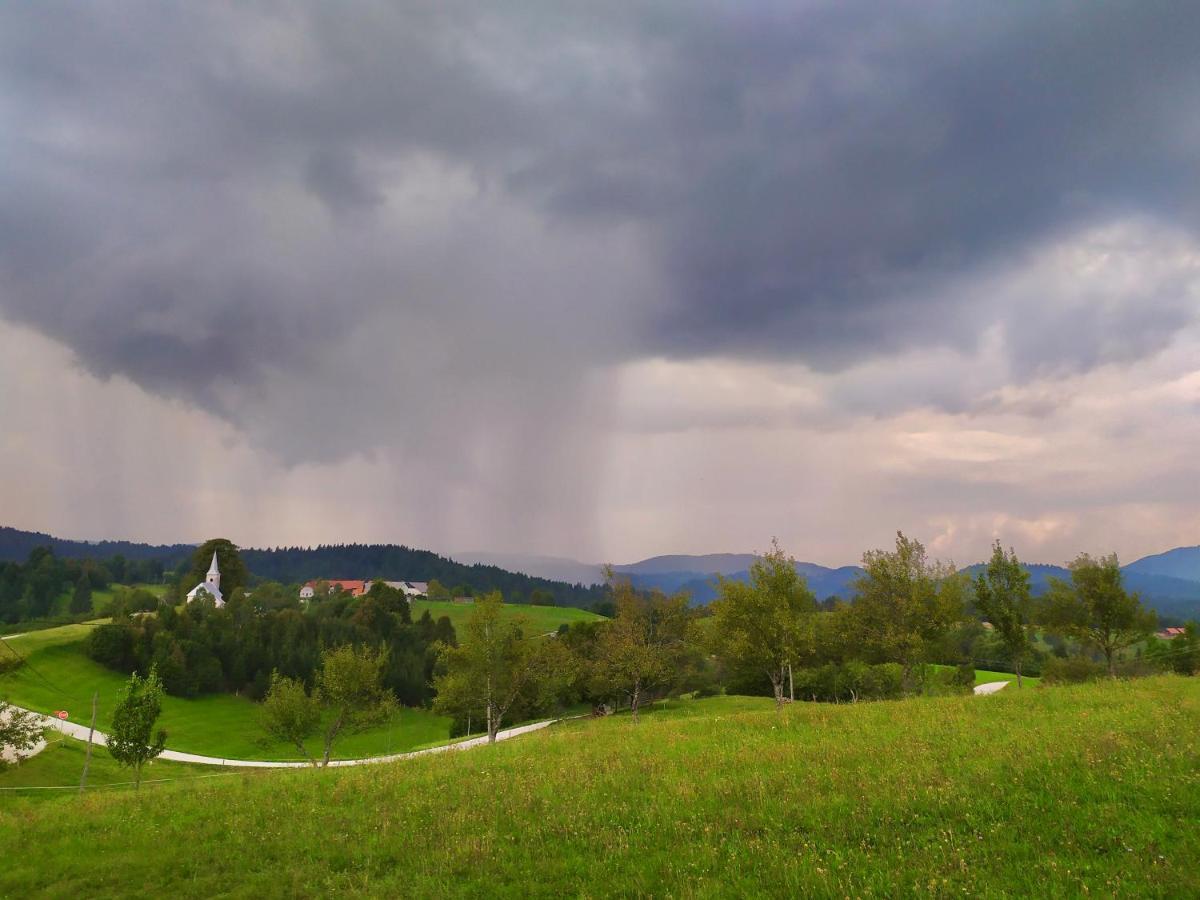 Villa Tourist Farm Strle With Great Local Food Cerknica Esterno foto