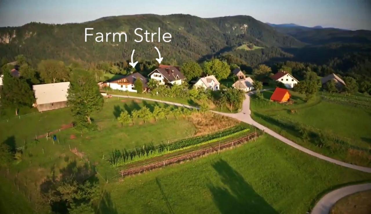 Villa Tourist Farm Strle With Great Local Food Cerknica Esterno foto