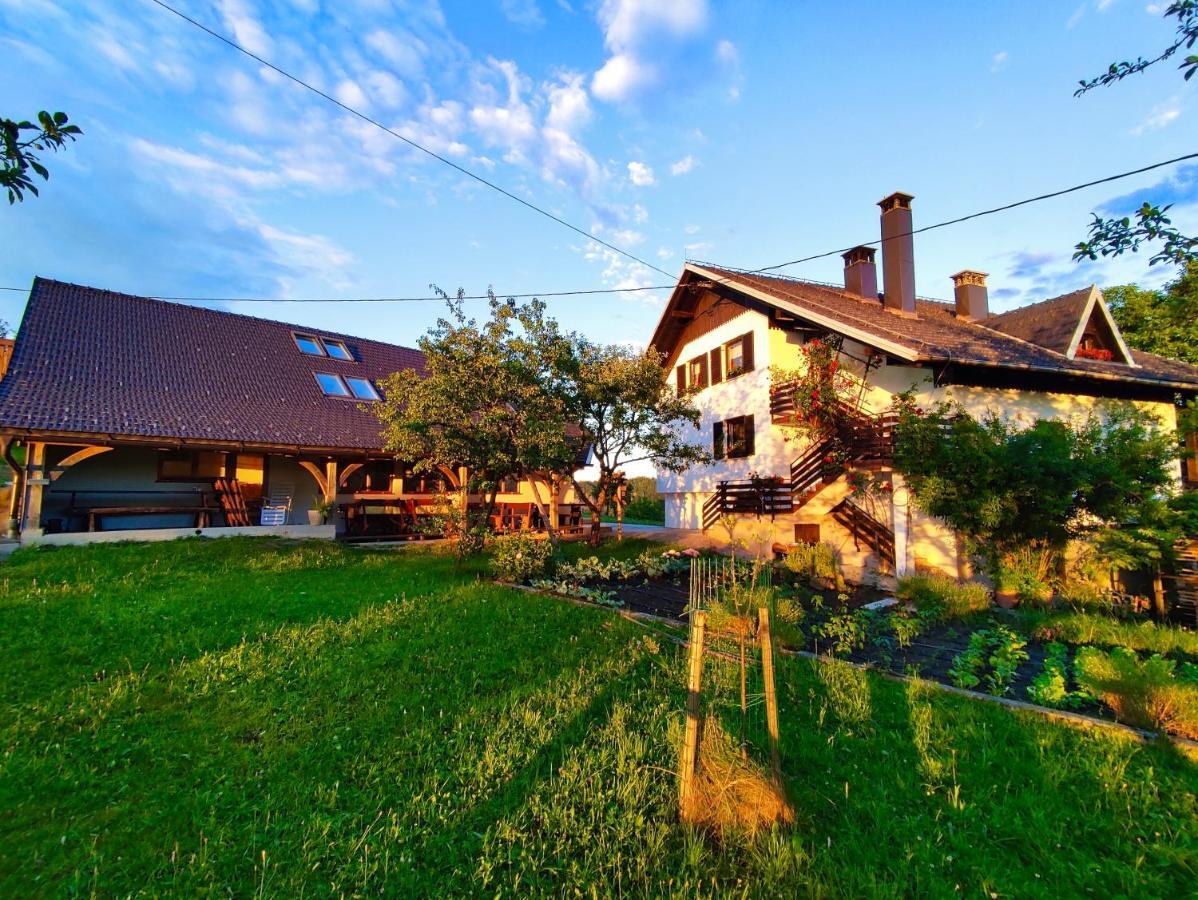 Villa Tourist Farm Strle With Great Local Food Cerknica Esterno foto