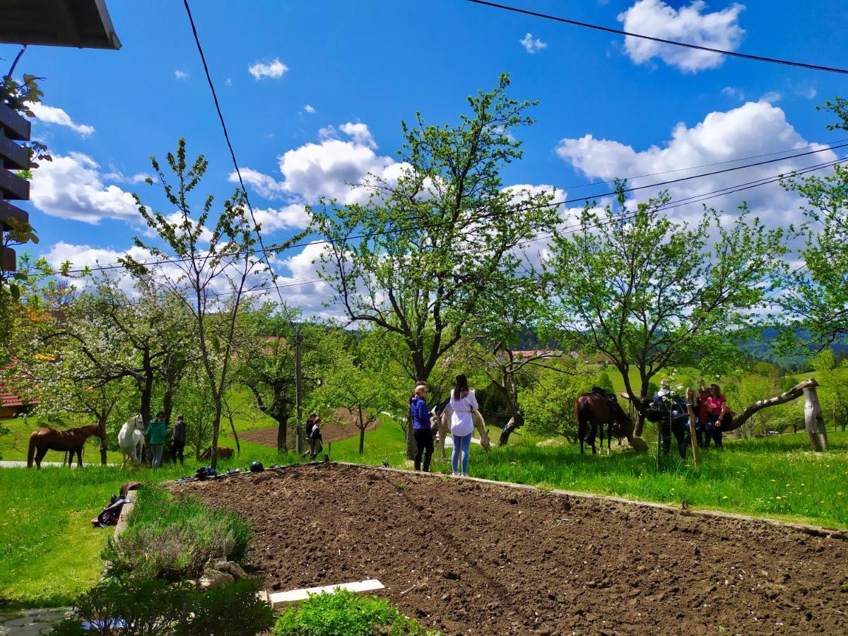 Villa Tourist Farm Strle With Great Local Food Cerknica Esterno foto