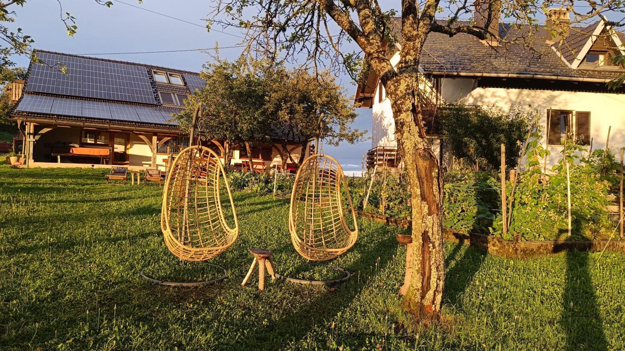 Villa Tourist Farm Strle With Great Local Food Cerknica Esterno foto