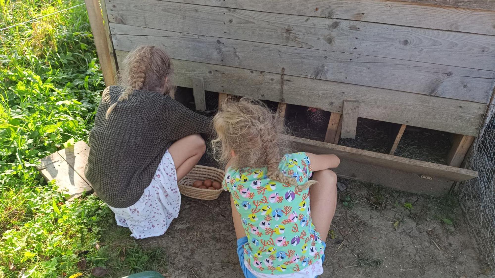 Villa Tourist Farm Strle With Great Local Food Cerknica Esterno foto