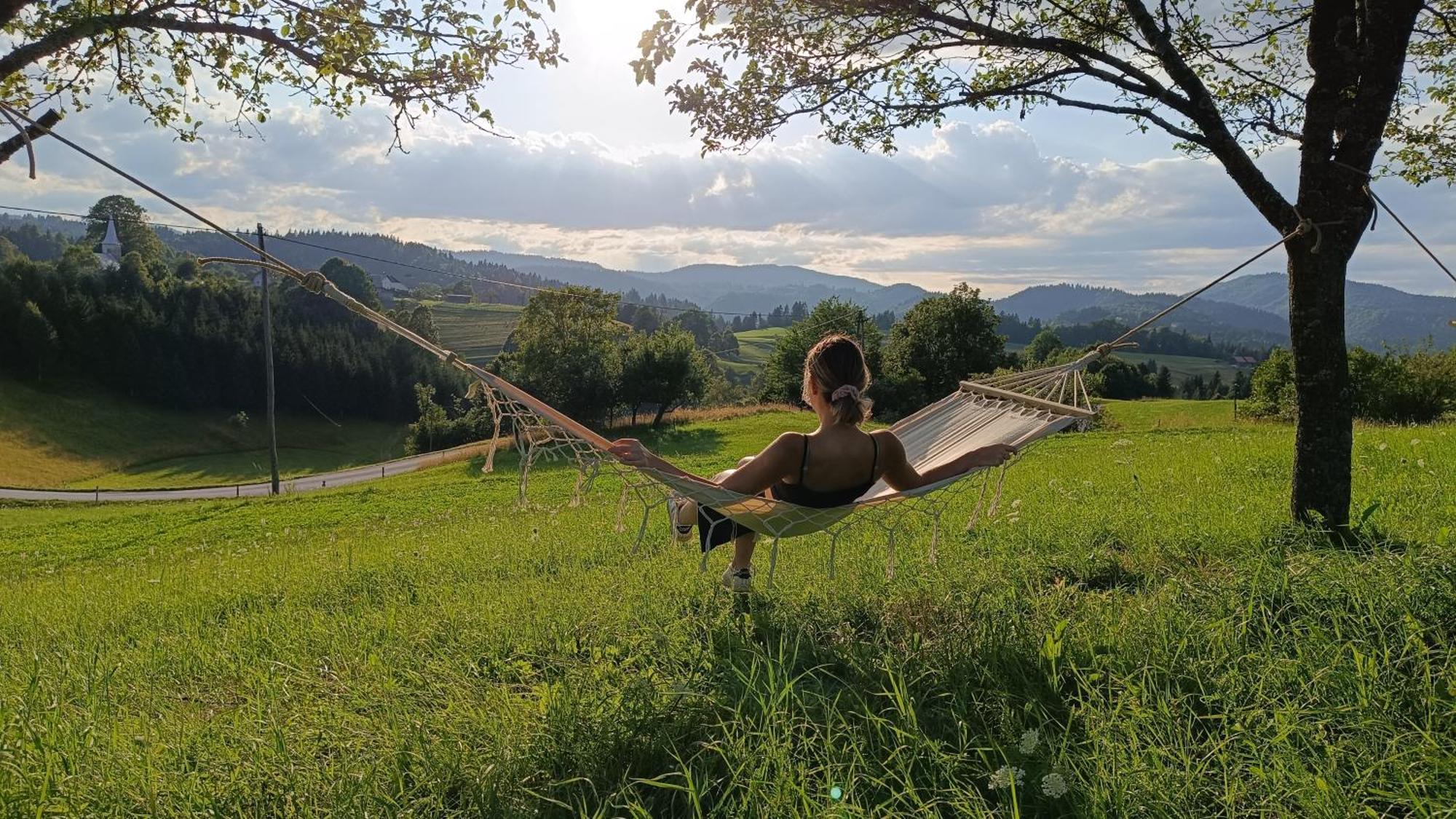 Villa Tourist Farm Strle With Great Local Food Cerknica Esterno foto