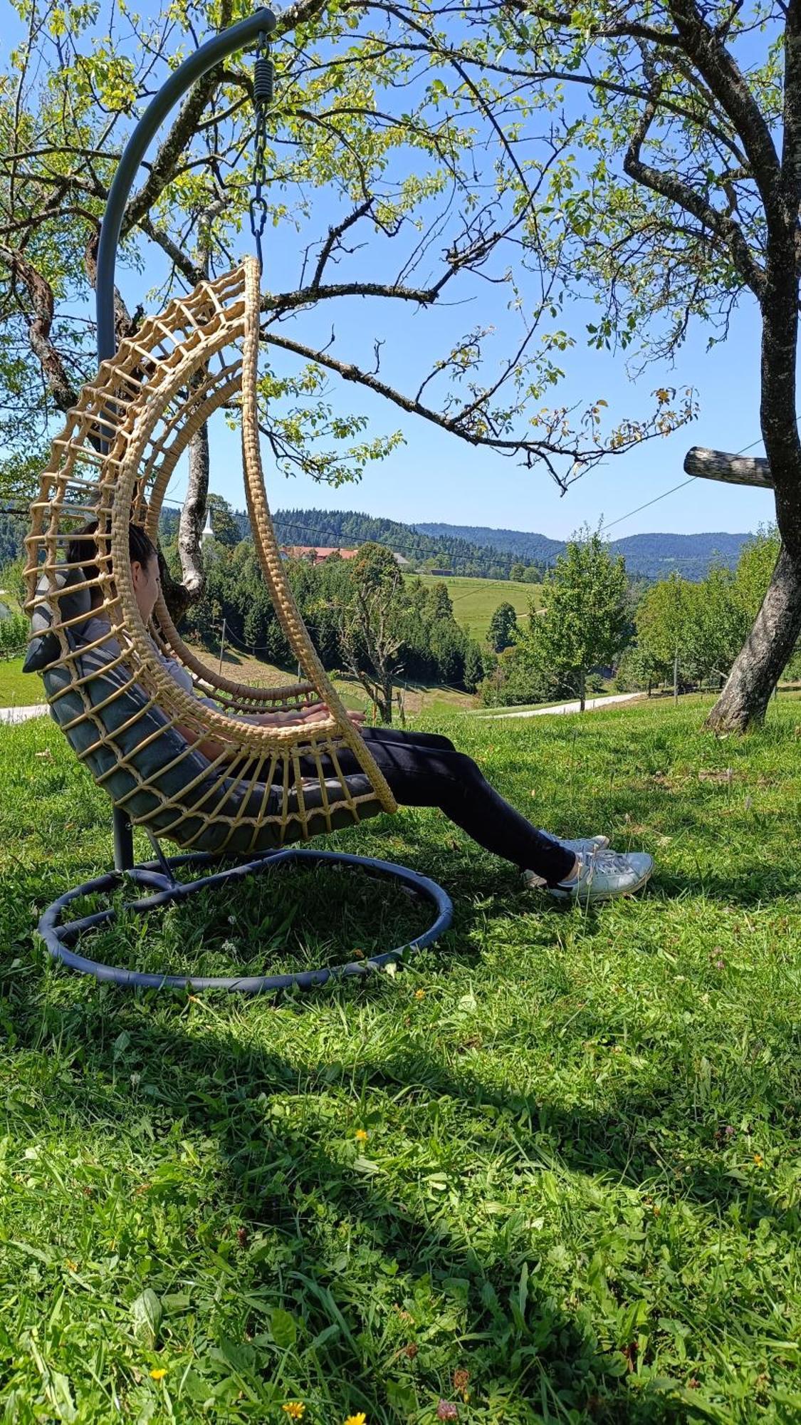 Villa Tourist Farm Strle With Great Local Food Cerknica Esterno foto