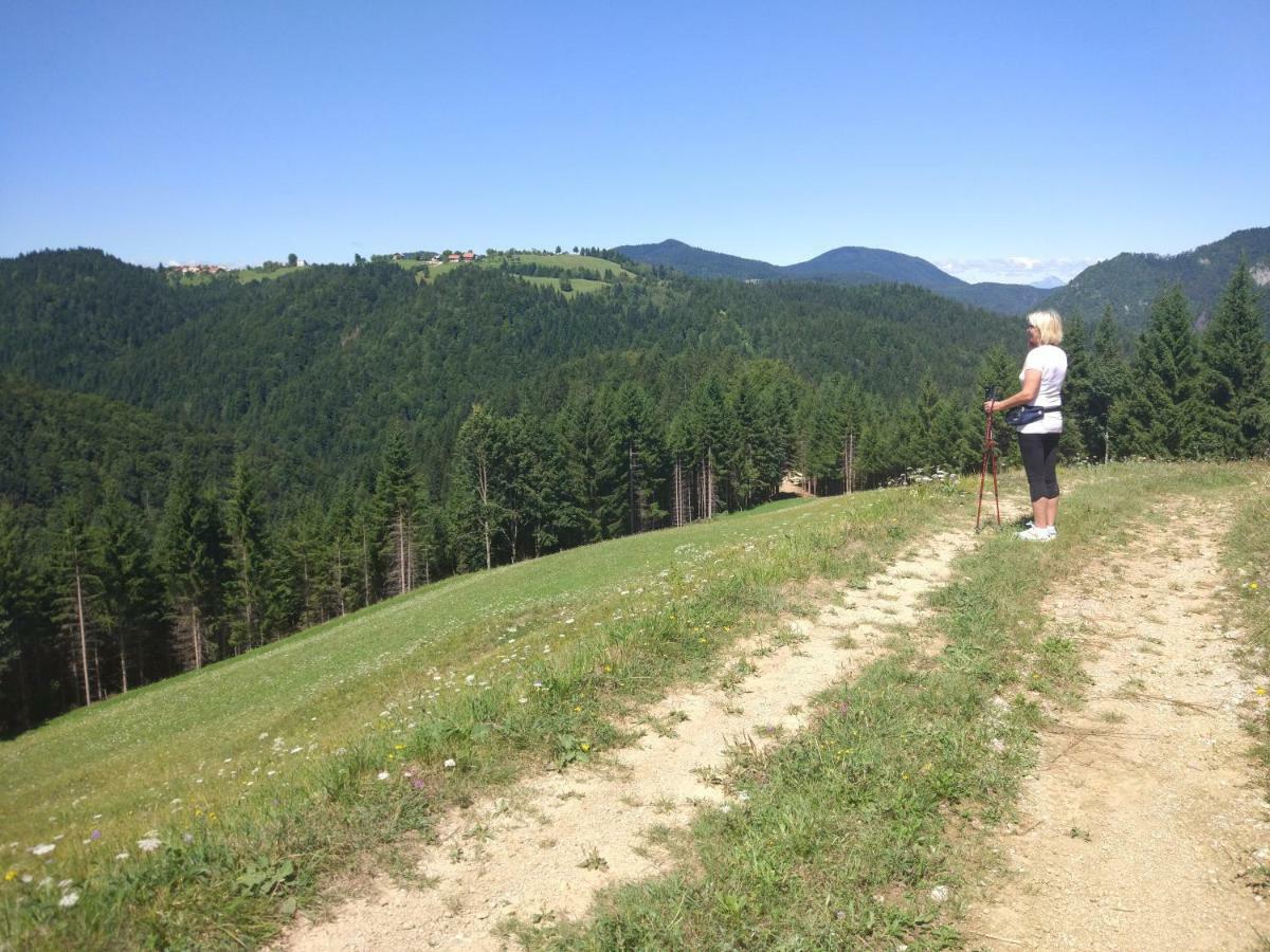 Villa Tourist Farm Strle With Great Local Food Cerknica Esterno foto