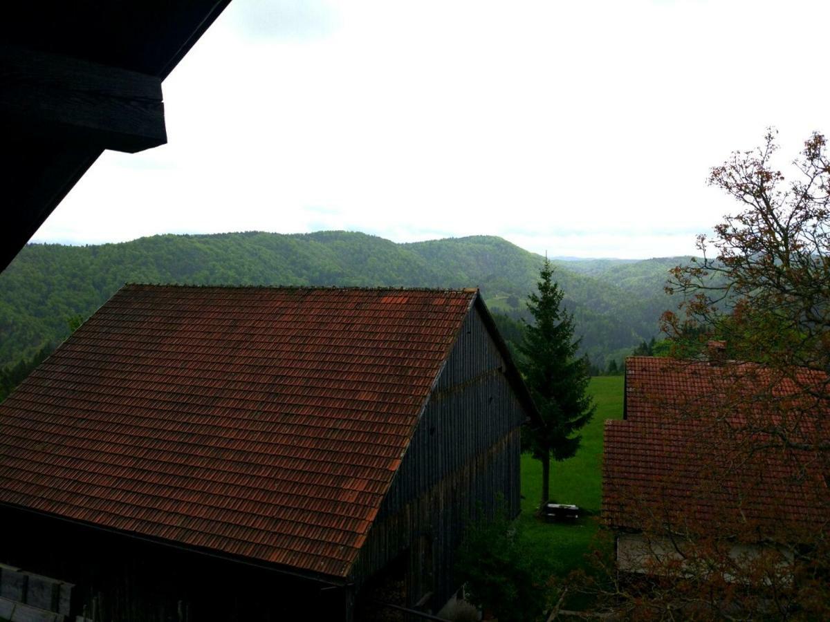Villa Tourist Farm Strle With Great Local Food Cerknica Esterno foto