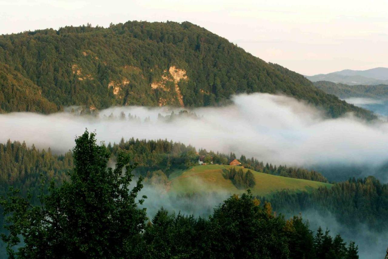 Villa Tourist Farm Strle With Great Local Food Cerknica Esterno foto