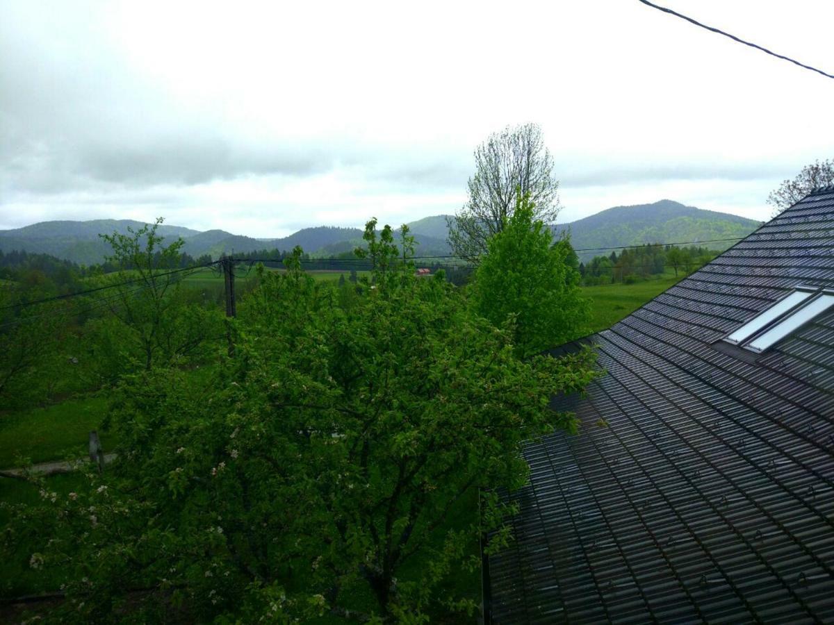 Villa Tourist Farm Strle With Great Local Food Cerknica Esterno foto