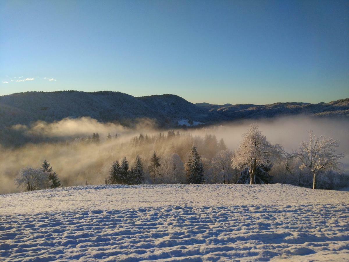 Villa Tourist Farm Strle With Great Local Food Cerknica Esterno foto