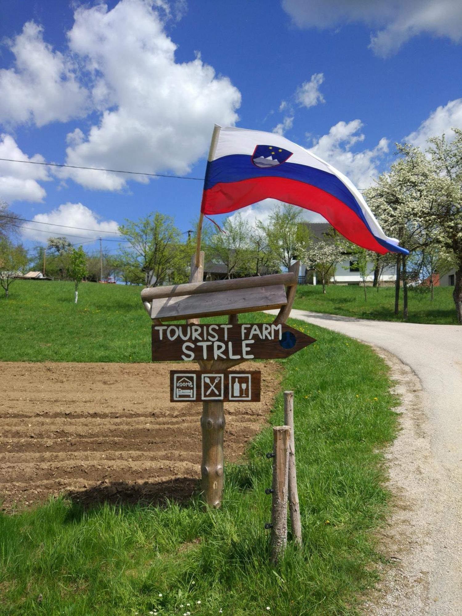 Villa Tourist Farm Strle With Great Local Food Cerknica Esterno foto
