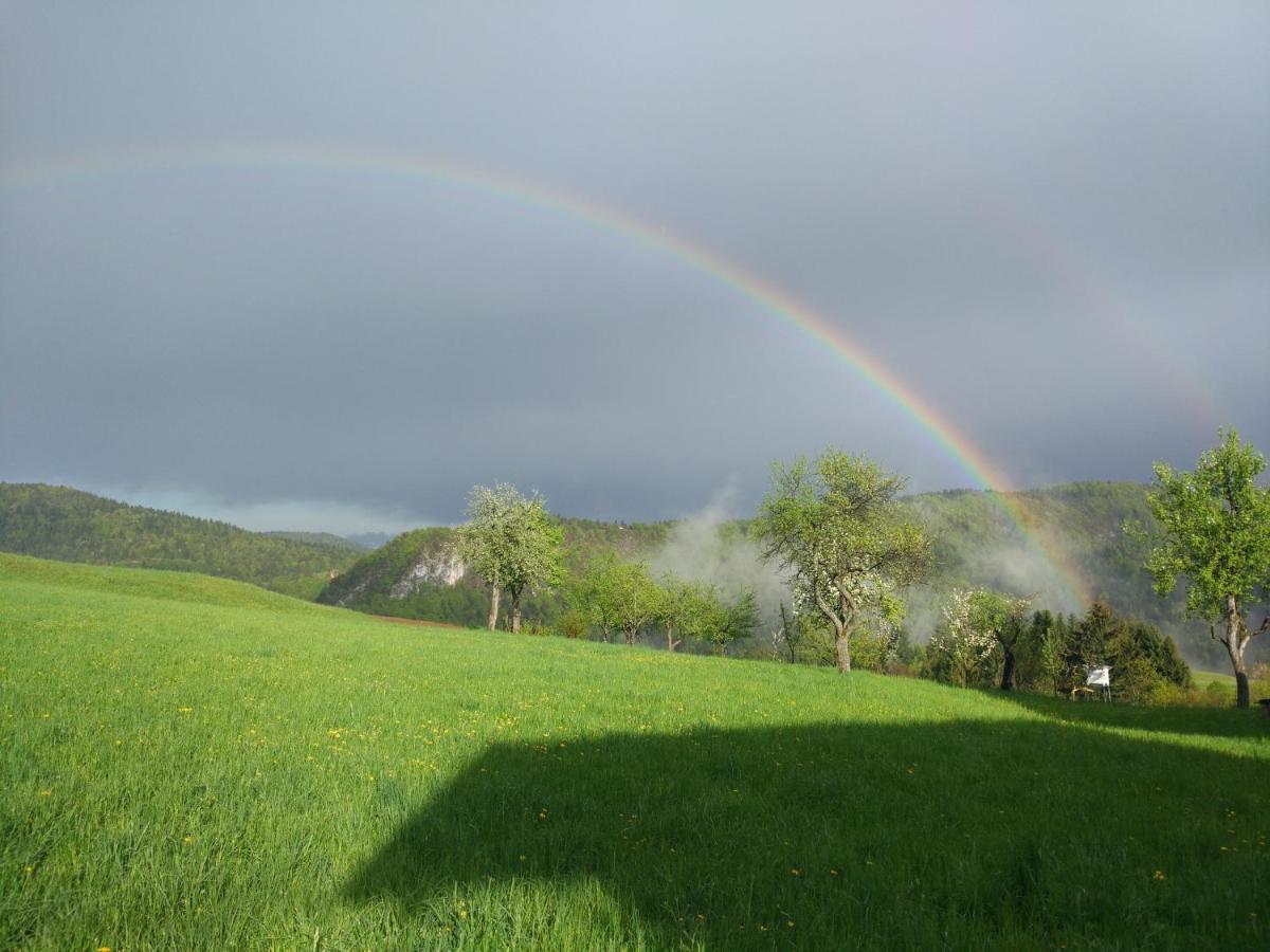Villa Tourist Farm Strle With Great Local Food Cerknica Esterno foto